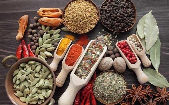 礼尚往来用英语怎么说