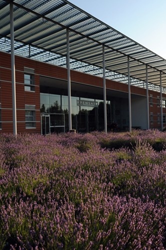 圖盧茲國(guó)立綜合理工學(xué)院