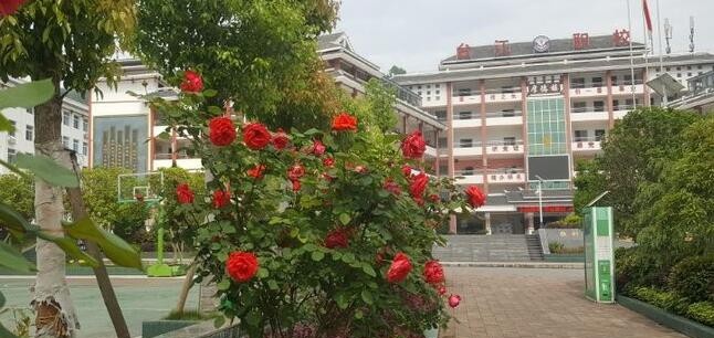 台江中等职业学校2020年招生办