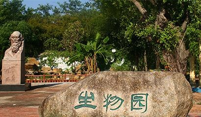 深圳市石岩公学