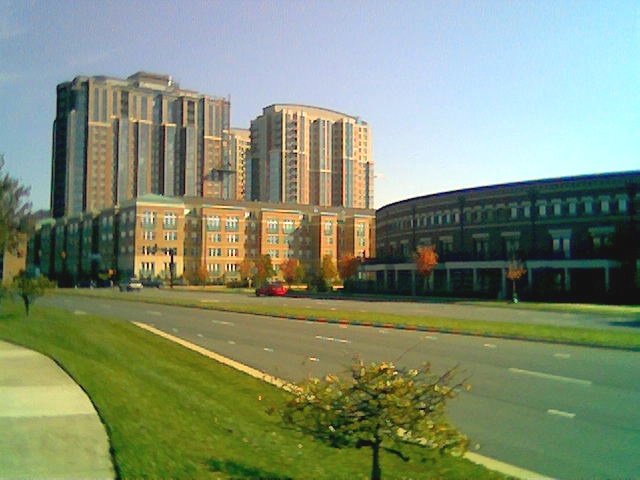 弗吉尼亚国际大学