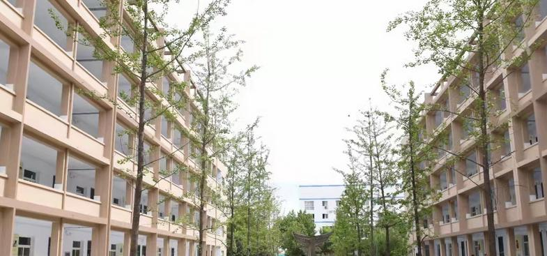 运城财经学校2022年招生录取分数线