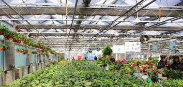 河南农业广播电视学校