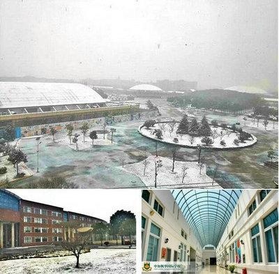 1月28日中加枫华国际学校开放日后记:冬日皑皑白雪风光