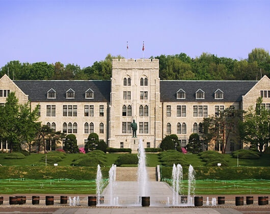 高丽大学
