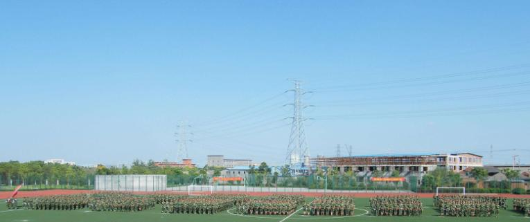 浙江同济科技职业学院2020年有哪些专业