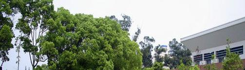 截图20181108154304