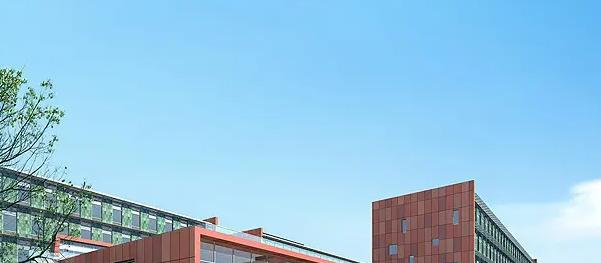 西交利物浦大学附属学校初中部2023年课程体系