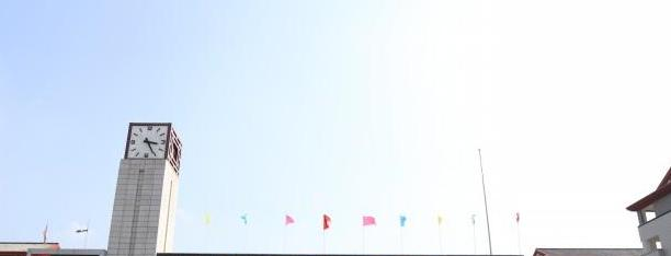 遂宁东辰荣兴国际学校初中部2020年学费、收费多少