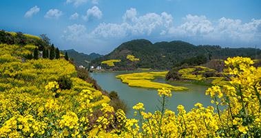 智慧与方法