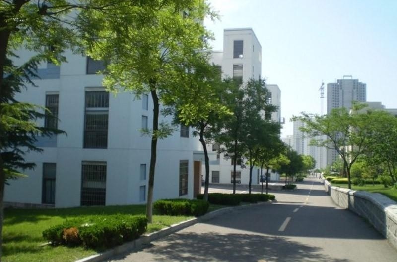 青岛大学留学预科