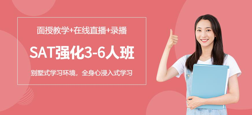 SAT强化3-6人班