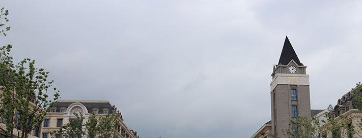 新华公学2020年学费、收费多少