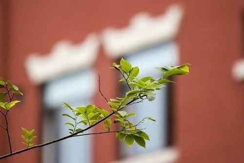 上海金山区世界外国语学校