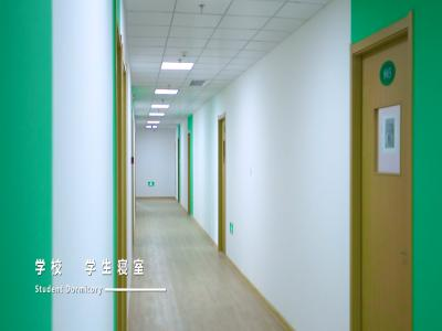 武昌实验寄宿学校国际班