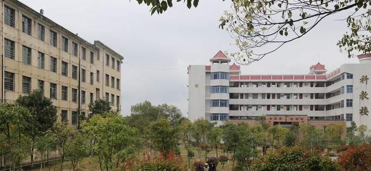 截图20200925094843