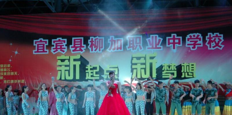宜宾县柳加职业中学
