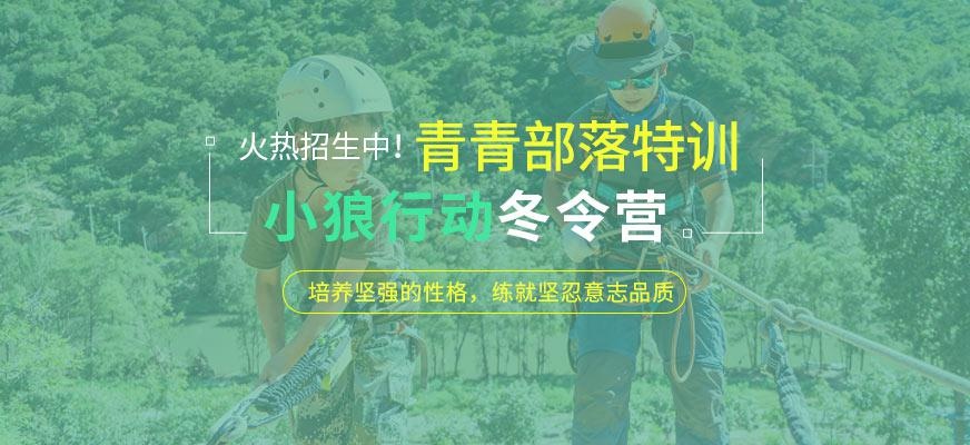小狼行动冬令营