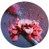 不能轻松表现自己的想法