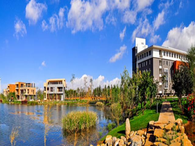 校园风景（一）