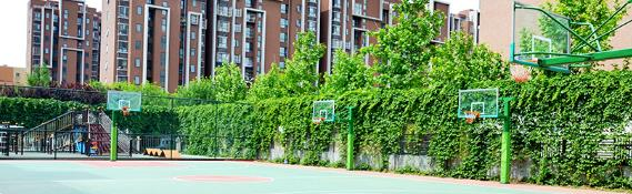 北京中芯学校高中部