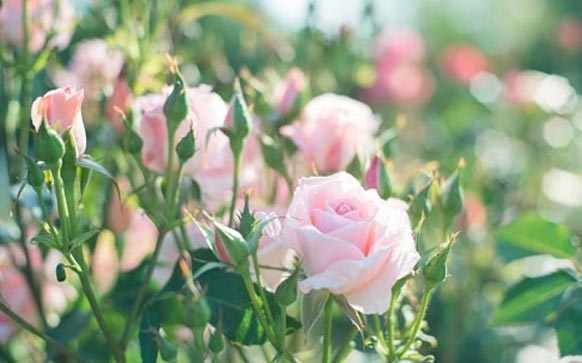 淘宝海报怎么做