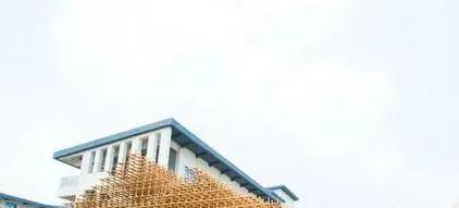 佛山协同国际学校小学部2023年课程体系2