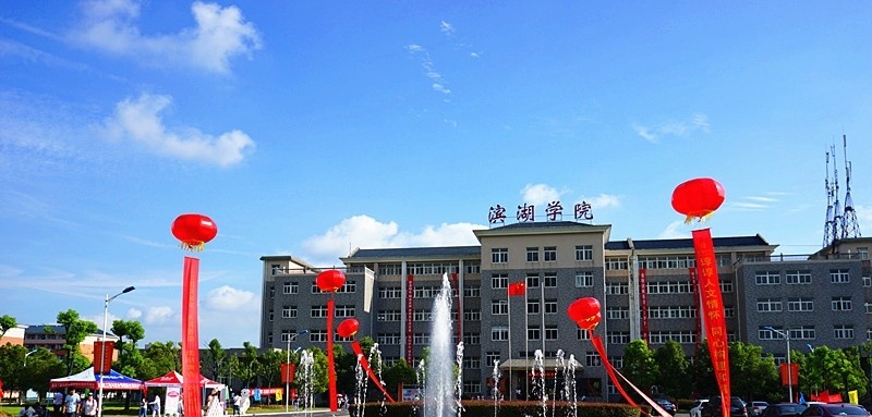 合肥滨湖职业技术学院2019年单招录取分数线