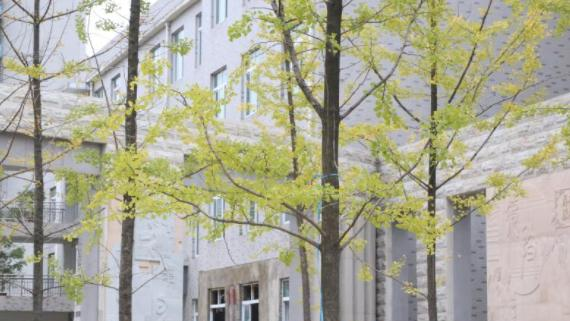 六盘水职业技术学院2023年招生录取分数线