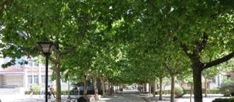 石家庄现代经贸中等专业学校