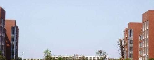 重庆电信职业学院单招报名条件