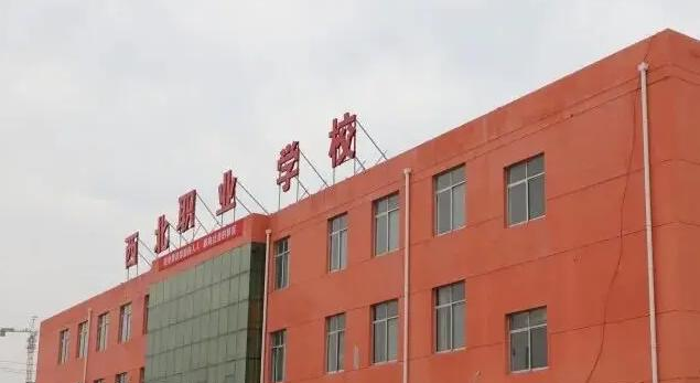 2023年大荔县西北职业学校有哪些专业