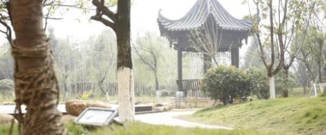 截图20200331134352