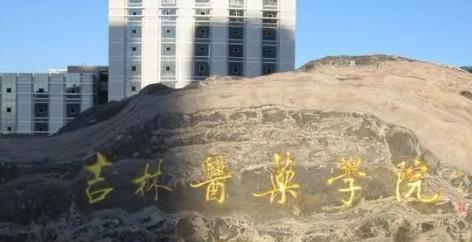 吉林医药学院