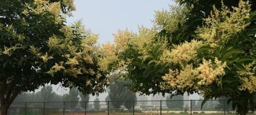 河南新闻出版学校2021年有哪些专业