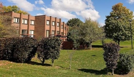 圣杰罗姆大学