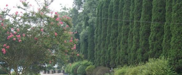 重庆市茂森中等职业学校2022年招生办