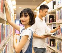 跟踪每阶段问题