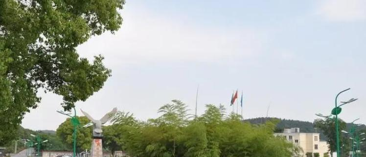 私立无锡光华学校历年招生分数线一览表(2023参考)