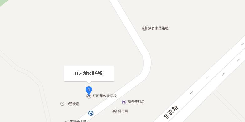 地图