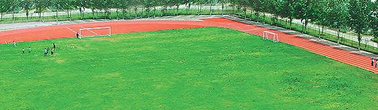 民办万博科技职业学院怎么样、好不好