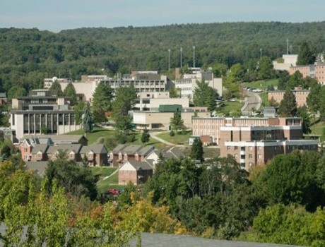 纽约州立大学技术学院阿尔弗雷德州立学院