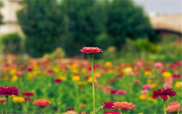 你需要掌握的一些技巧