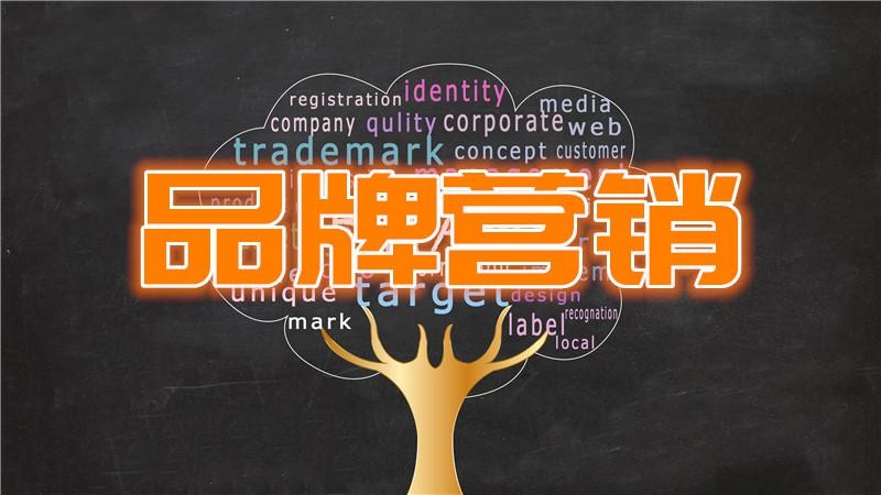 品牌管理培训