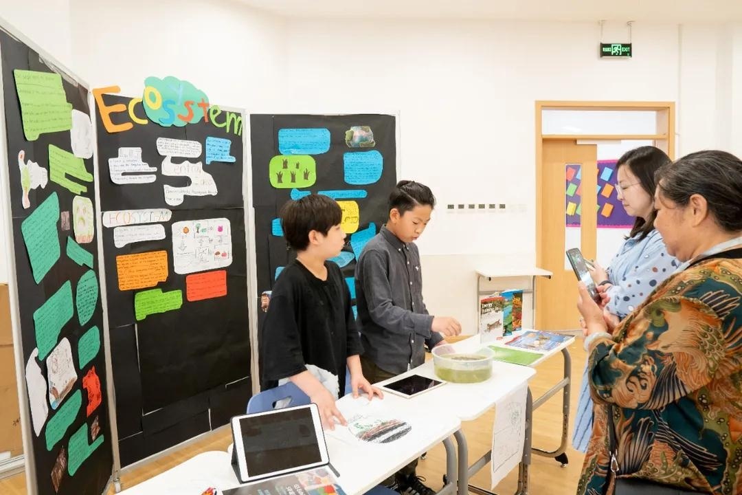 成都巴德美际国际学校