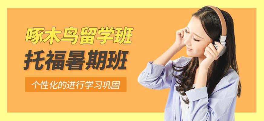 广州啄木鸟教育暑期班