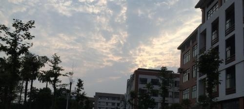2019年单独招生报名条件、招生要求、招生对象