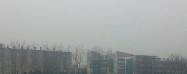 平顶山教育学院2019年单招录取分数线