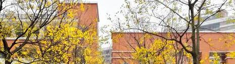 南京建邺高级中学2021年招生简章