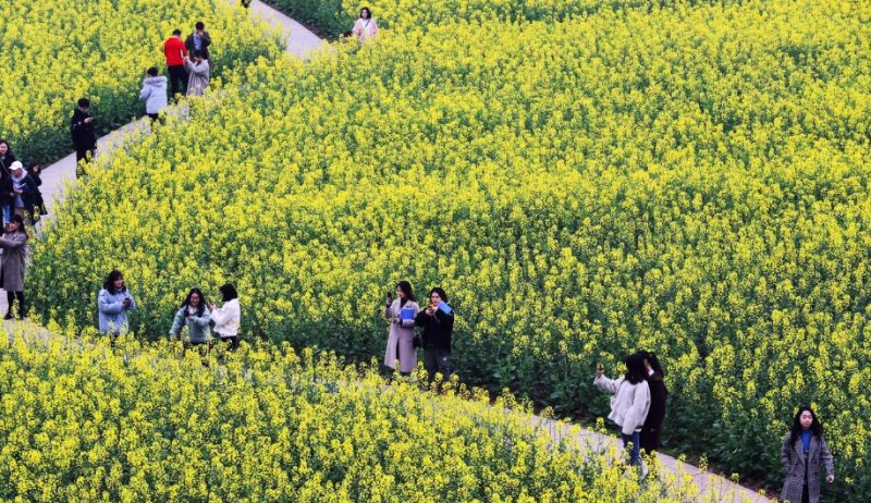 重庆商务职业学院